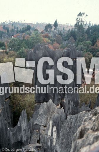 China (219 von 257).jpg